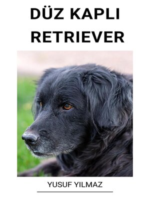 cover image of Düz Kaplı Retriever